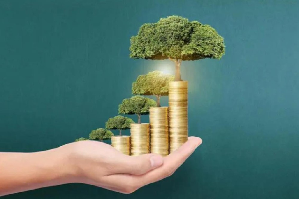 天津民间空放私人借款全天候专业服务